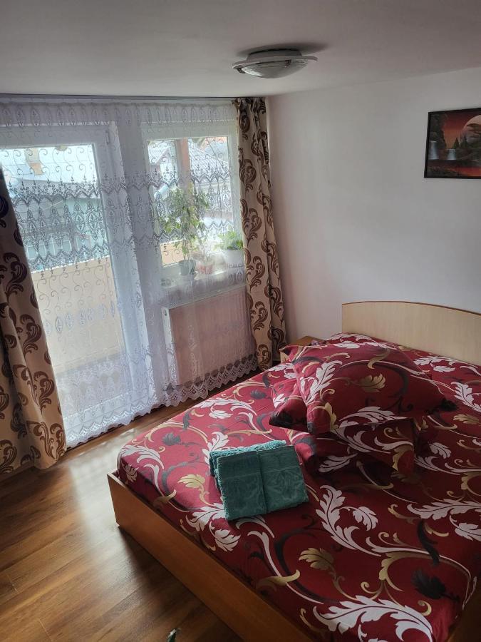 Pensiunea Lacramioara Vatra Dornei Exterior foto